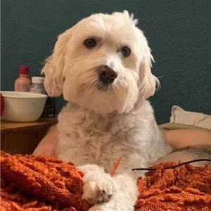 Meet your Posher, Daniela